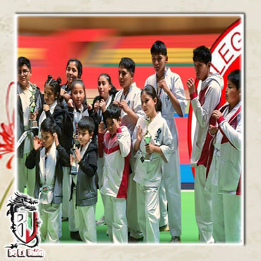 Campoenato de Karate